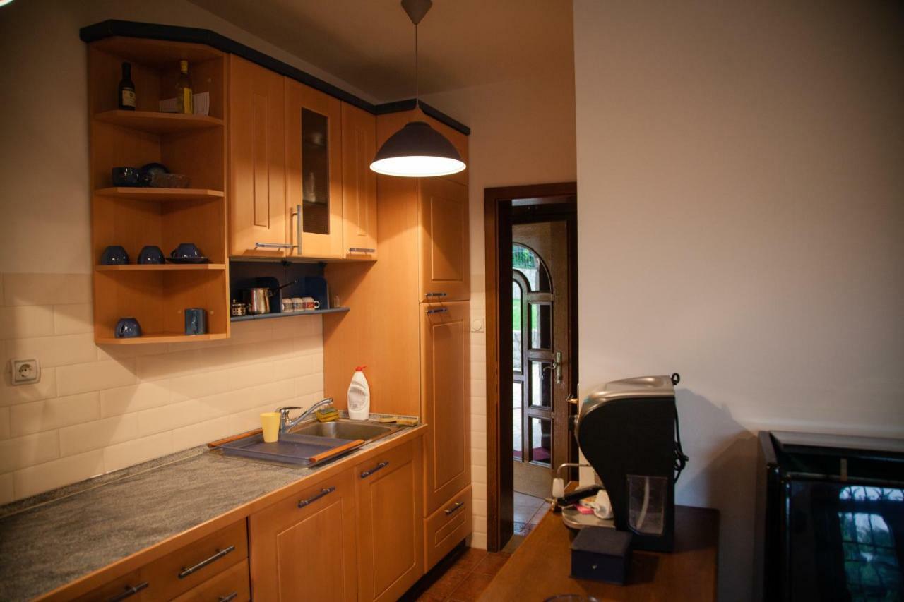 Exclusive House Legacy Villa Smederevo Eksteriør billede